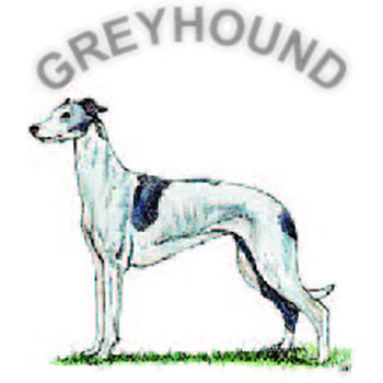 Greyhound - Click Image to Close